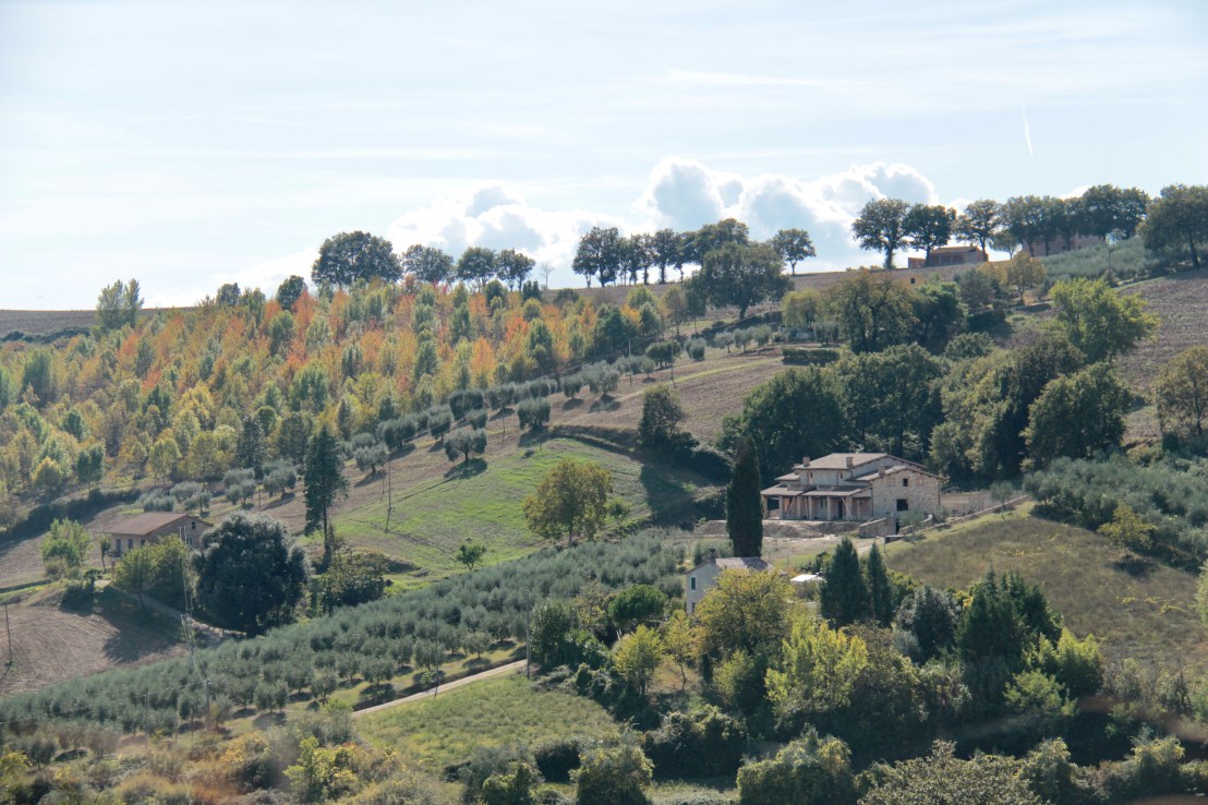 8230D1BB-A8D6-4981-9C9E-121608F56AAD