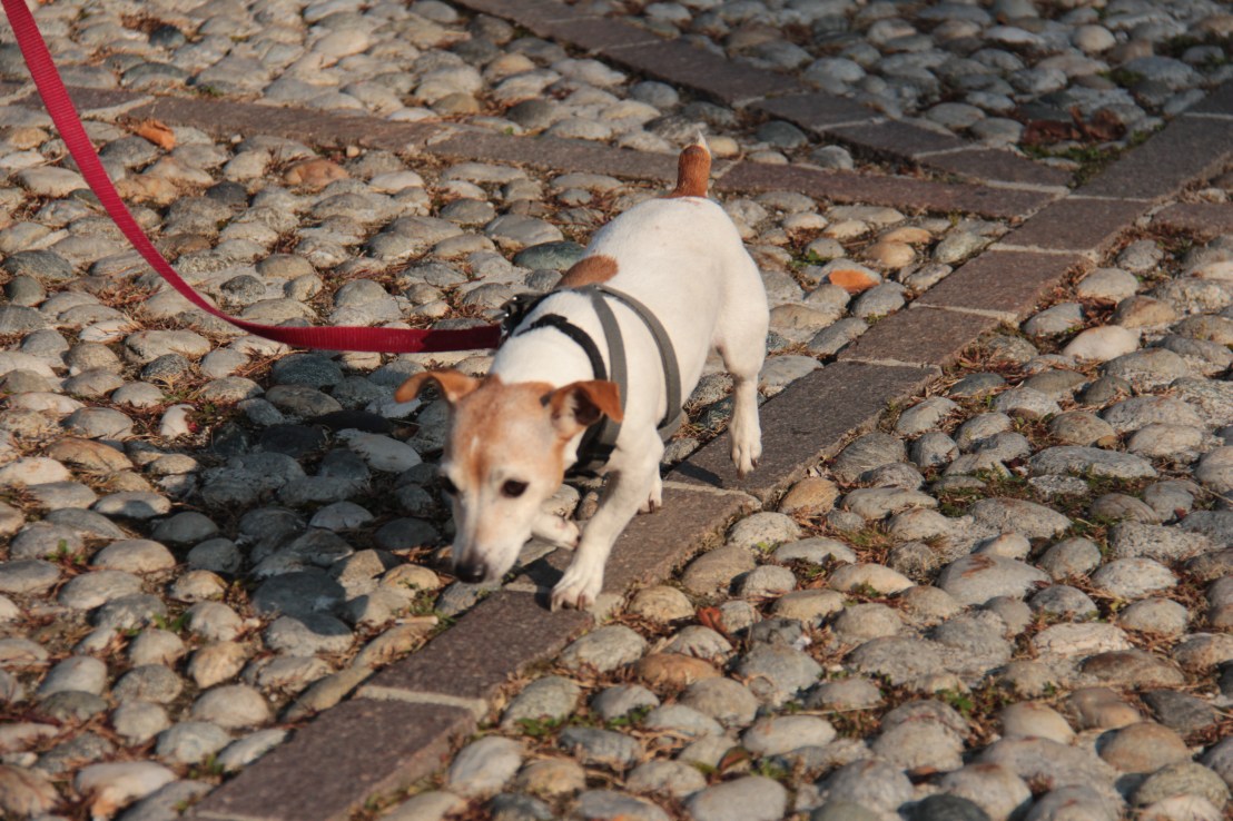 8613AD55-0EB5-4090-B134-1D77E7566331