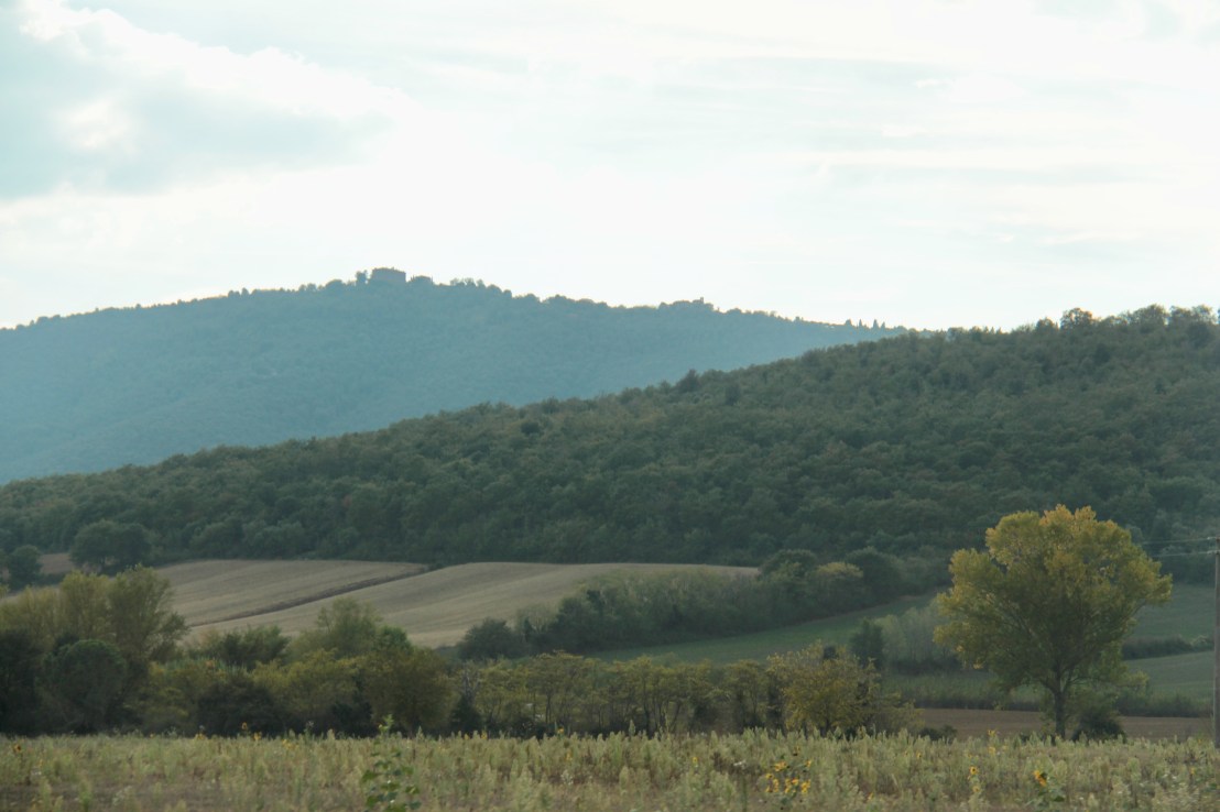 89012E3B-74DB-4942-85FF-6D1DC9BD2BAF