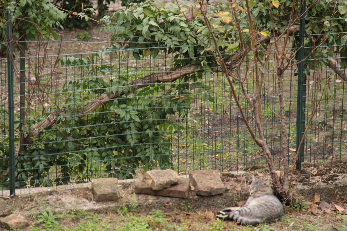 89FB1819-0673-49AE-B3C7-E1568FDBD717