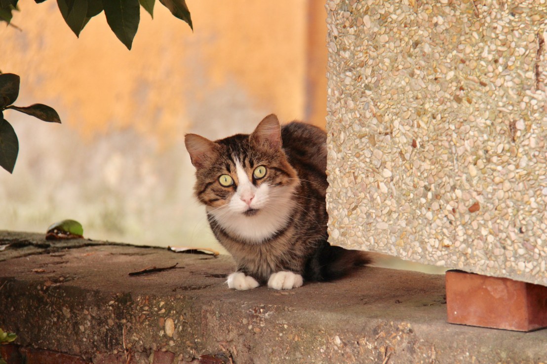 8B0E0726-30BA-4632-A7D9-75CC8C071D76