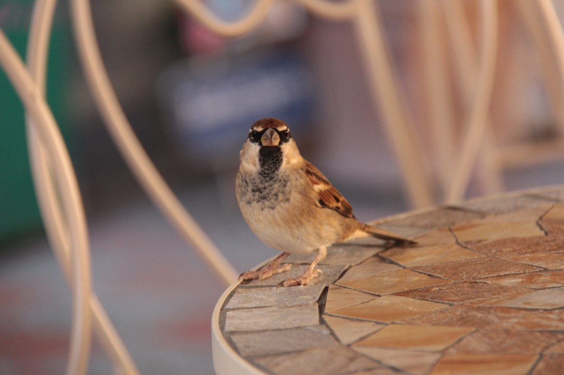 90B471AD-2934-40C2-A027-61B70E03676D