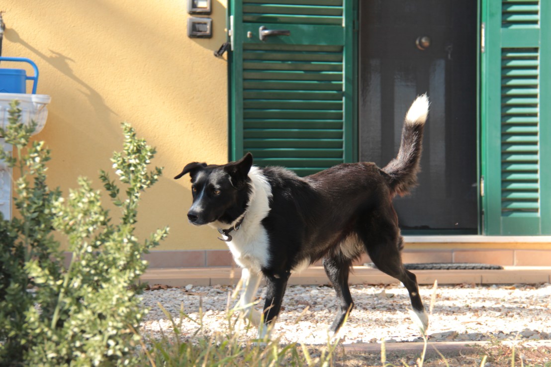 92828977-9B10-4339-945B-ADEFC219D7D3