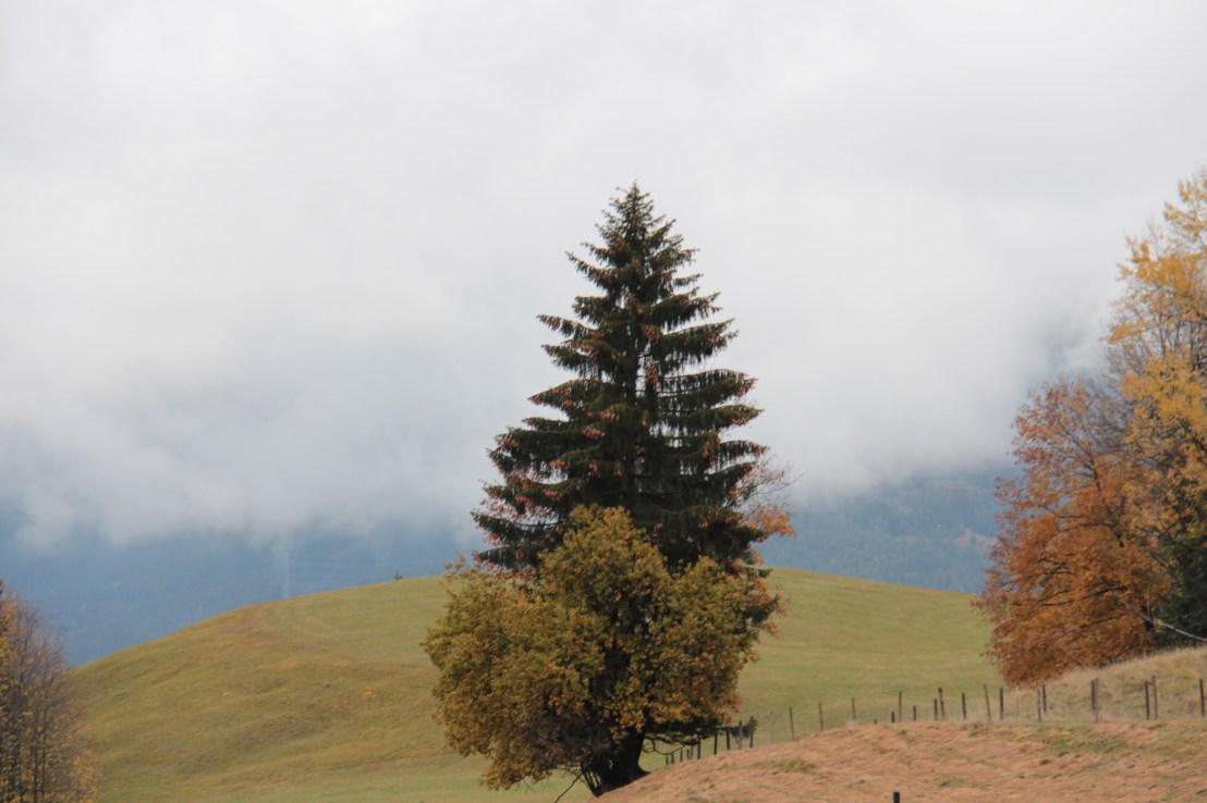 96125D16-352E-4850-84A9-BFDEE36478F0