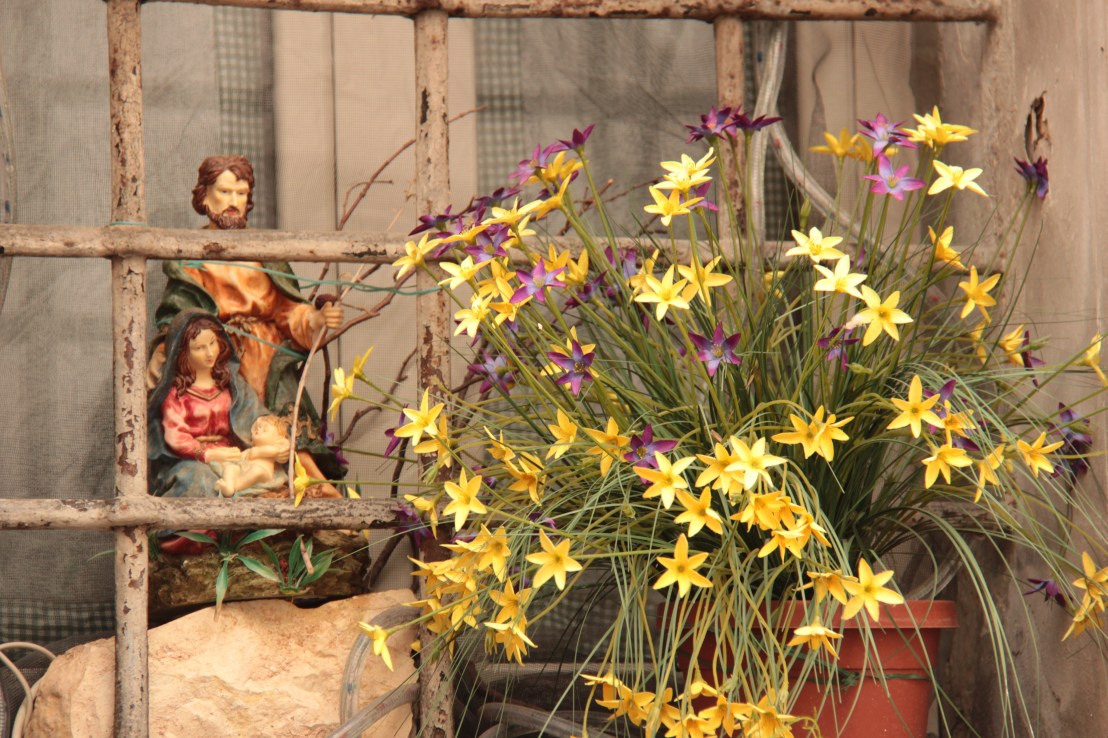 96412603-E8CE-4FDB-B796-6D6E3B714E89