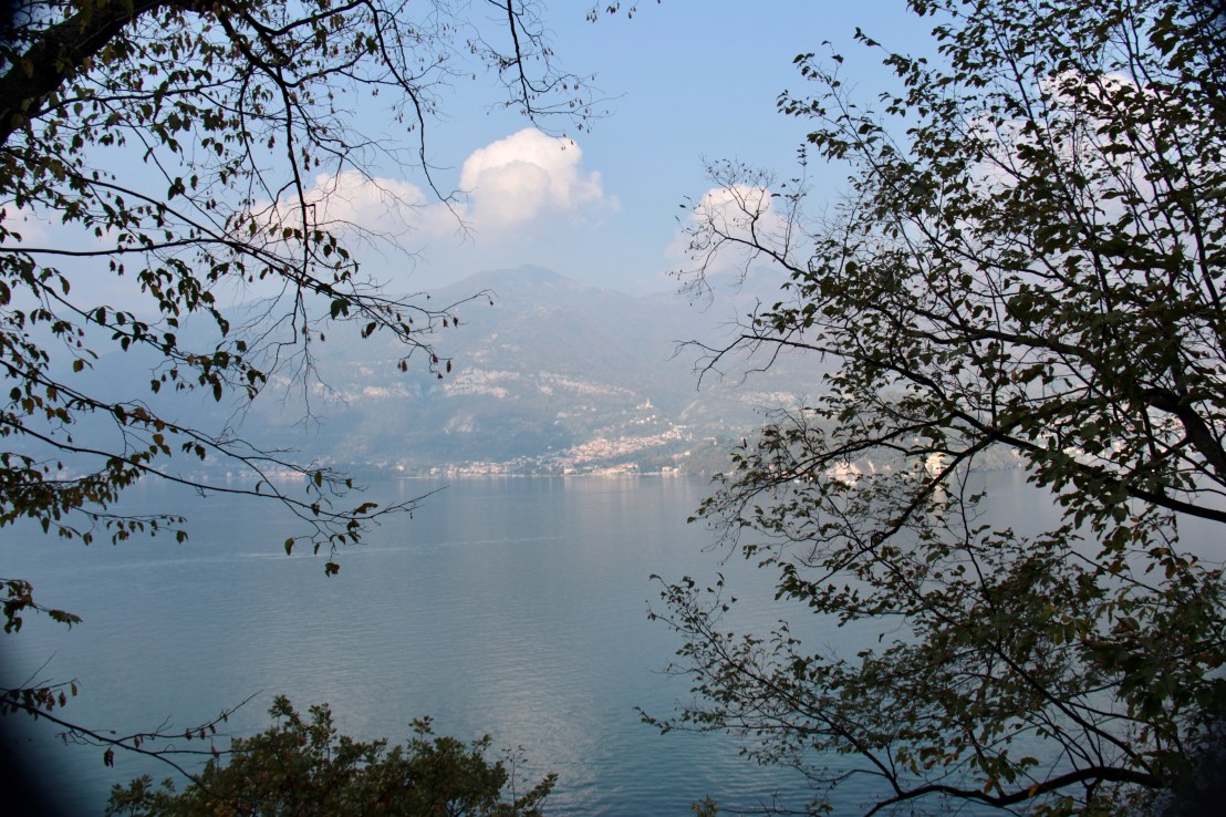 980E424A-A903-4E36-9D9B-7B8E5F1E1035