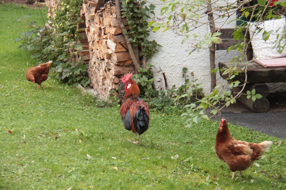 9C2F9BAE-A160-4B77-9953-F252D8AF7E75