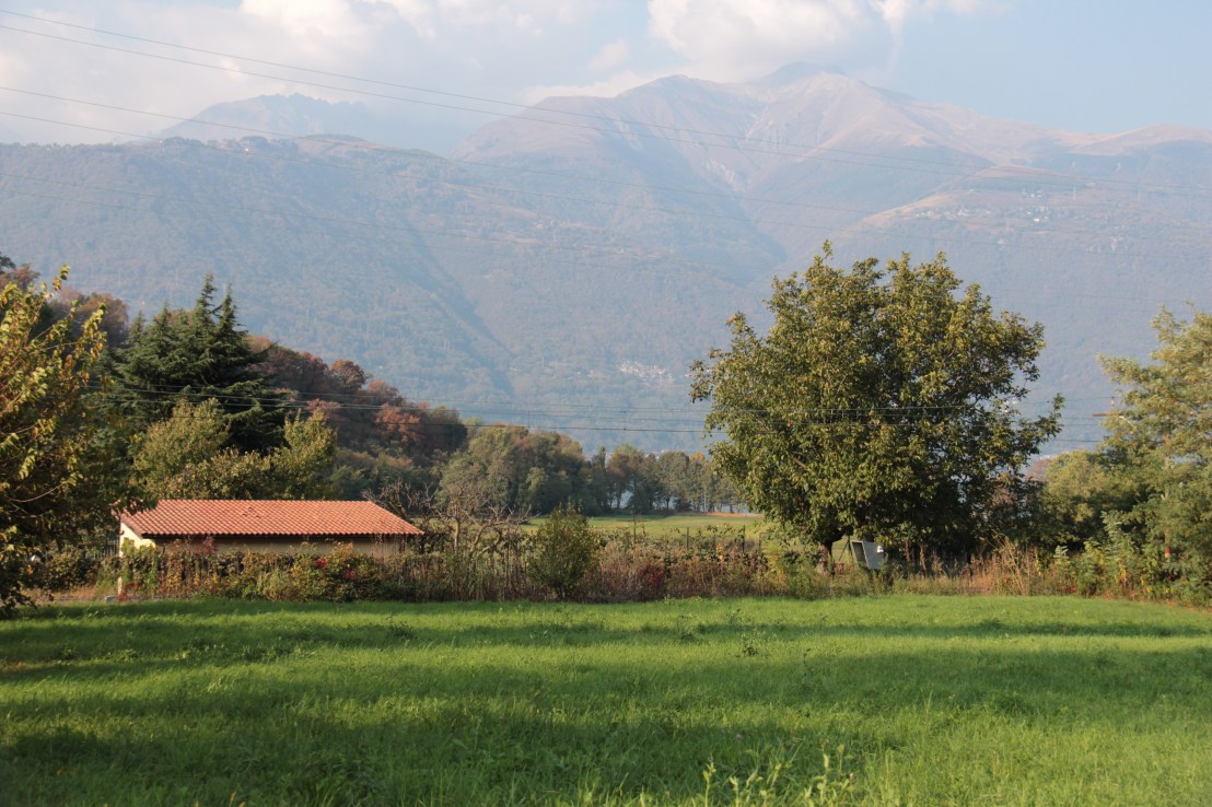 A0128EE4-F0EB-4602-A133-6515E36D9E8B