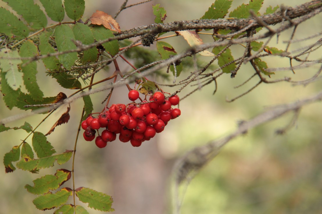 A03C4257-B787-4CB9-8F01-3E05B7600CB3