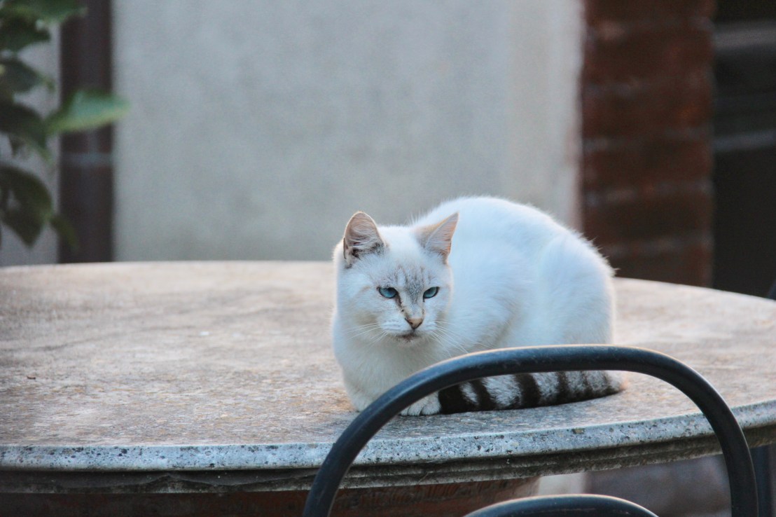 B740F80B-4F50-45F9-9E9F-0A1140BDDD01