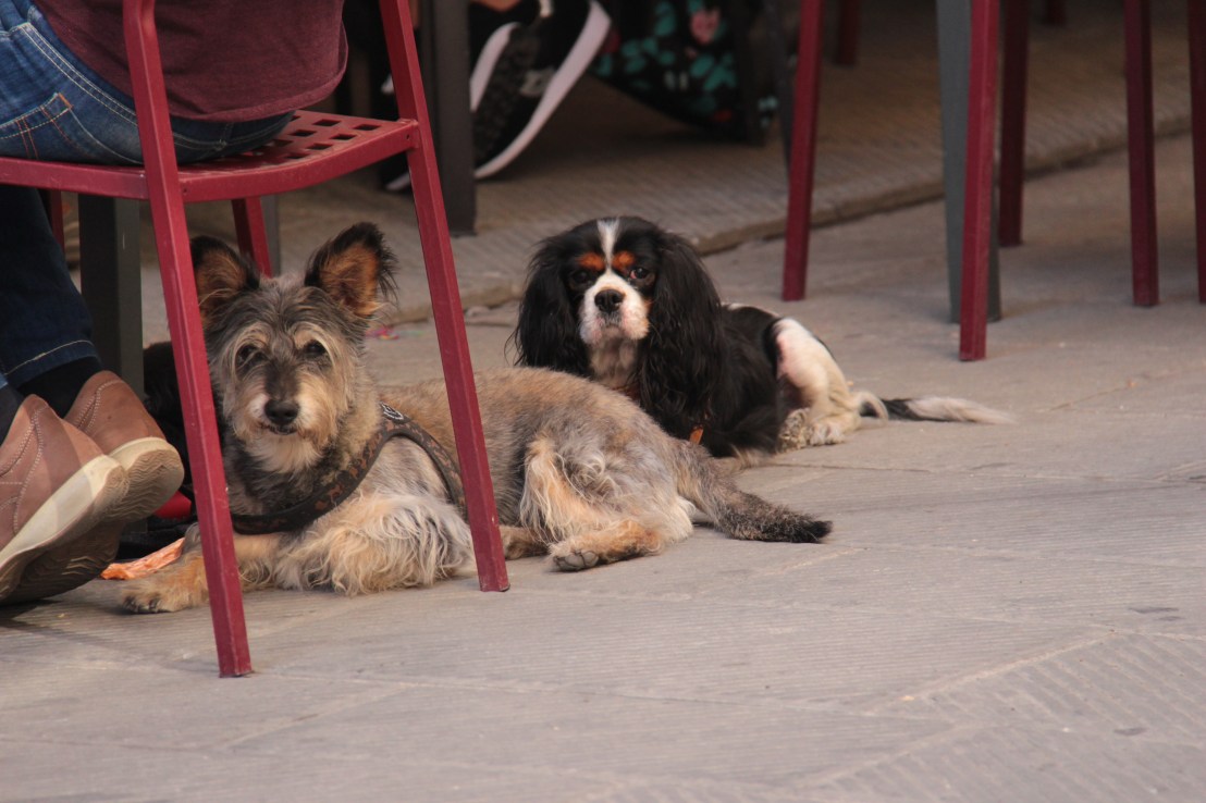 BAD15A78-A843-488F-851C-5F99C6FB3995