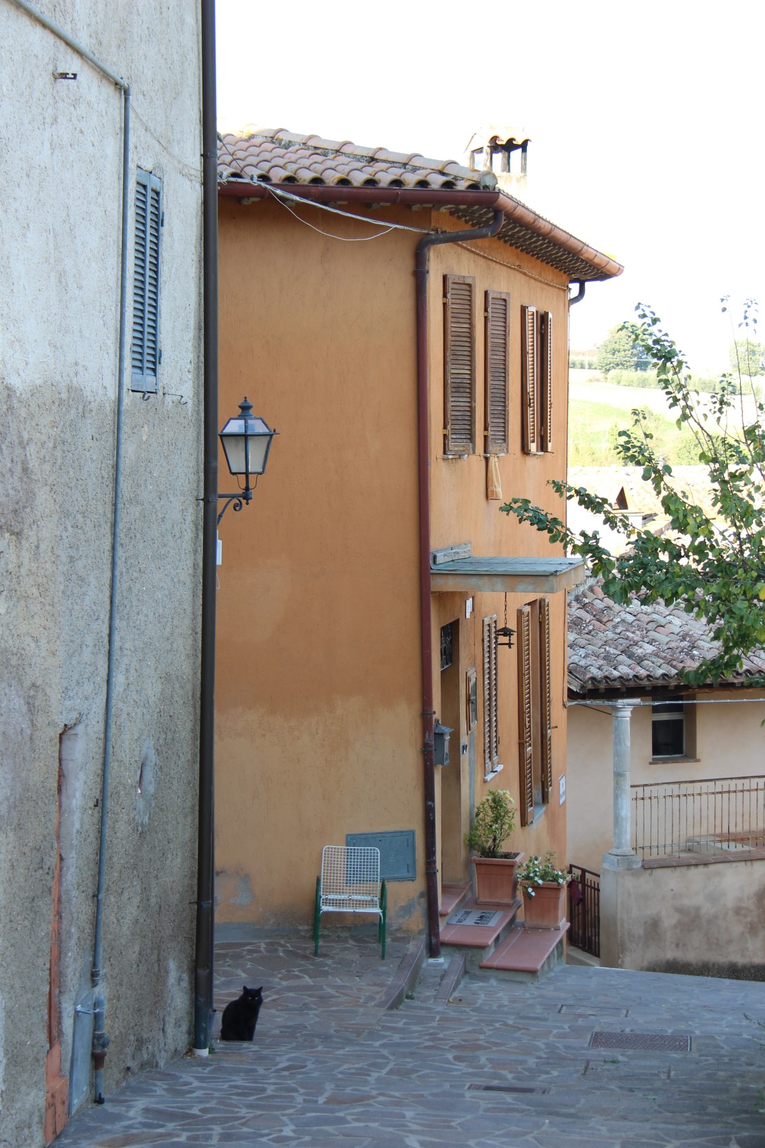 BE636207-729D-4F60-A2D8-07970EF4BC8F