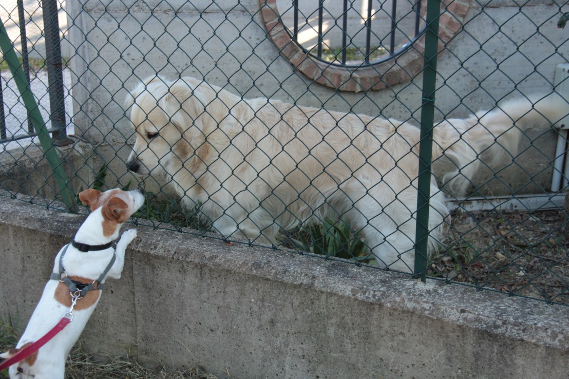 C24D92A0-80FB-4F1E-8B9B-D65291CB8C5D