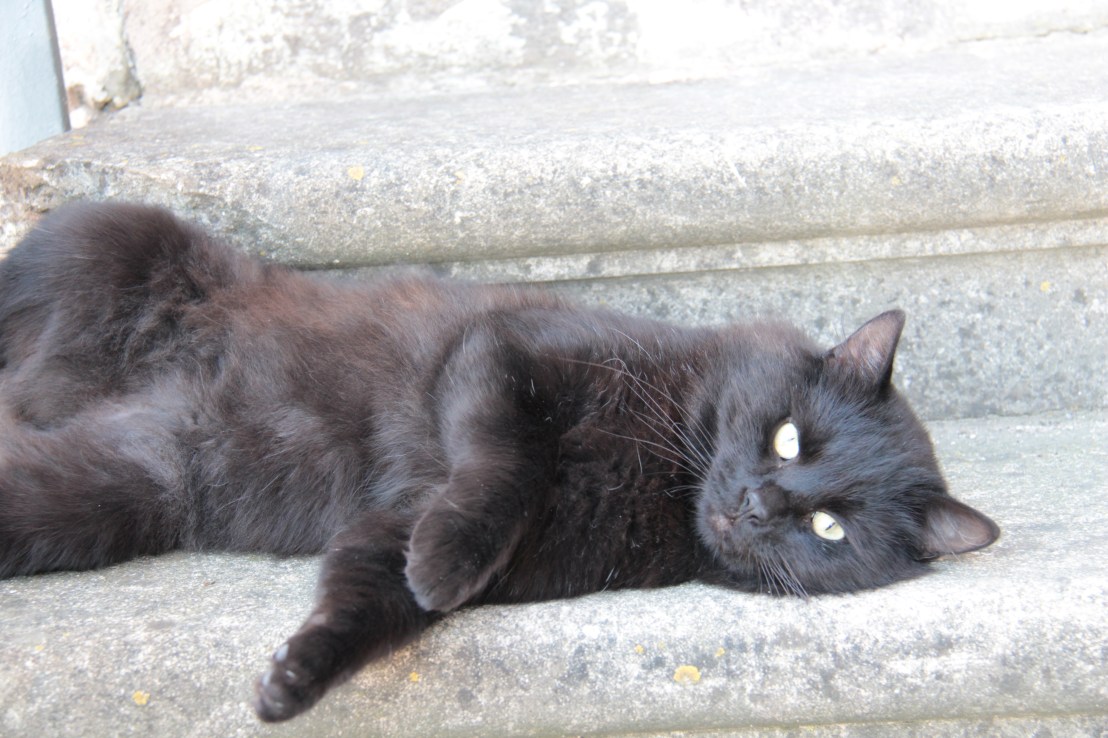 C6851A27-4EA9-4F64-8EFA-7FE605747084