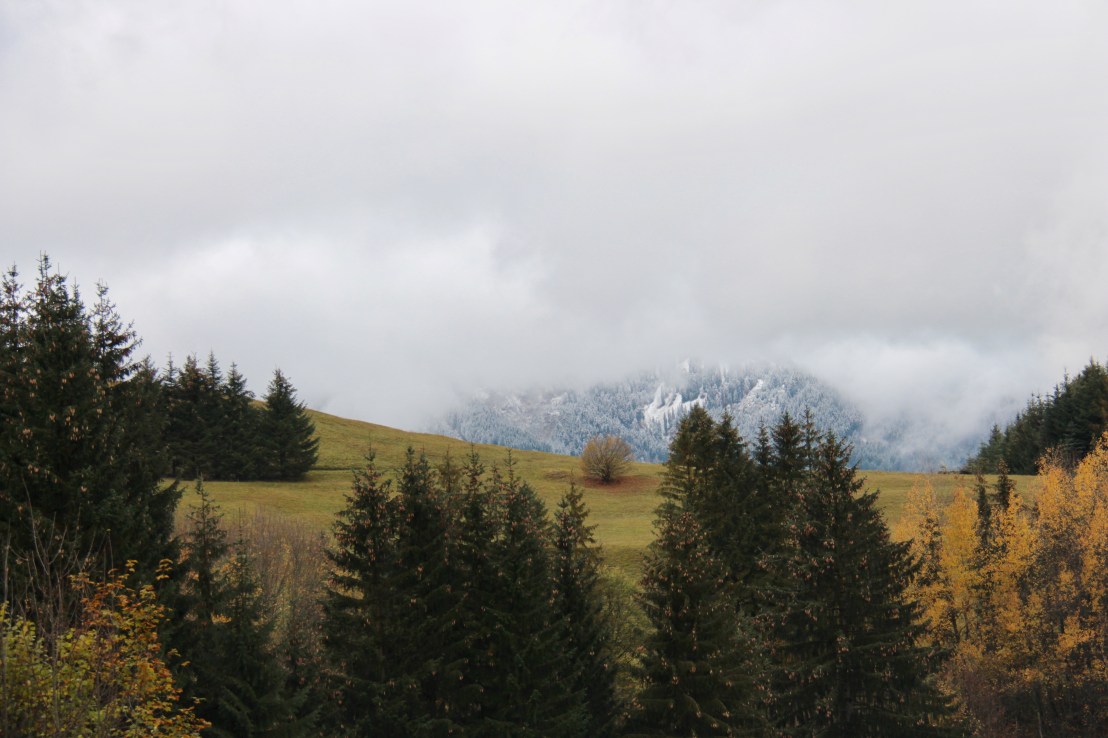 CA525F37-9ED6-402F-87B4-58A74C83CB50