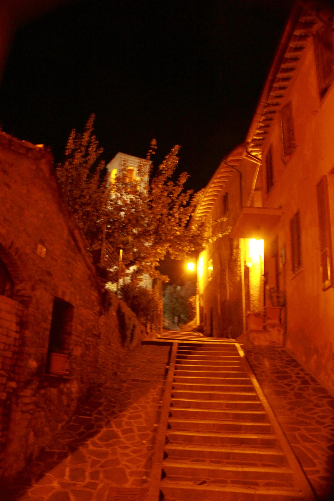 CE557B2B-7622-453E-87EC-6716CD109F3D