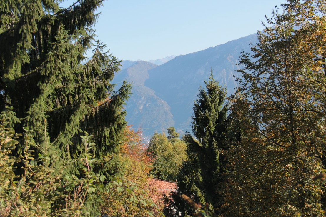 D7E3885E-B195-4427-AE97-97E2729338F9