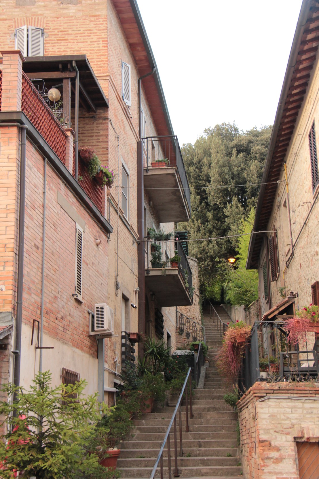 E20C3B02-CC5D-4951-B35F-A7890F3CB3A2