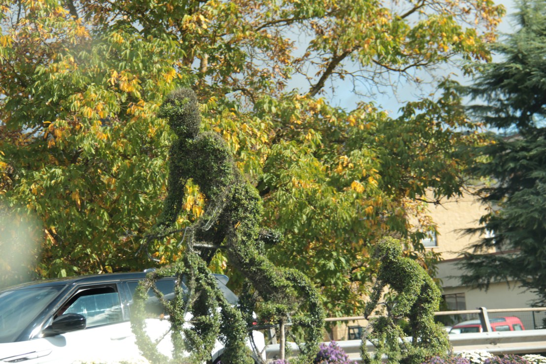 E271D2DB-8A82-41D8-85E5-46D610D59797