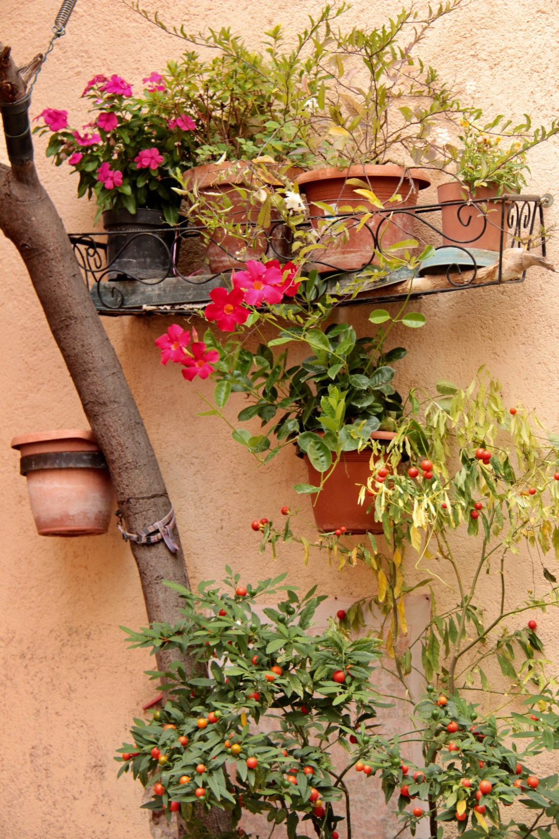 E8C274CC-96B9-4C8F-B3B5-83DC62568EED