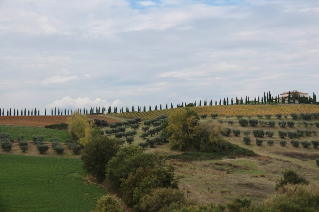 FDFABE45-18B1-4046-9FA7-DB995DB30154