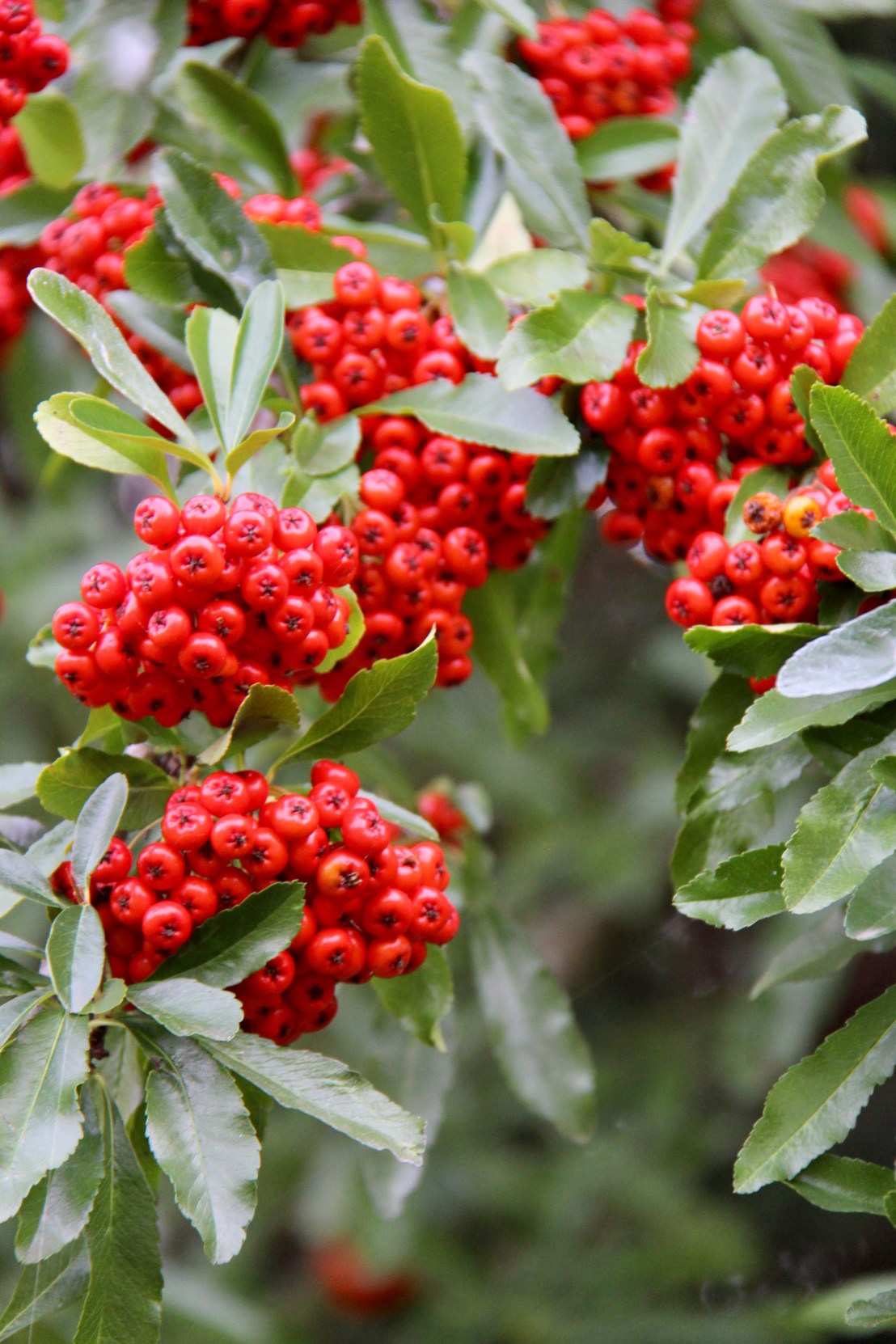 2BE98D69-7C00-4B8F-BF0F-E3799B89F8BE