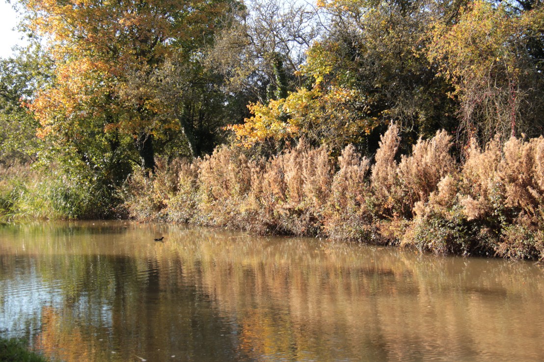 521EFA57-A195-4469-8EAE-44D9D2CCE7BE