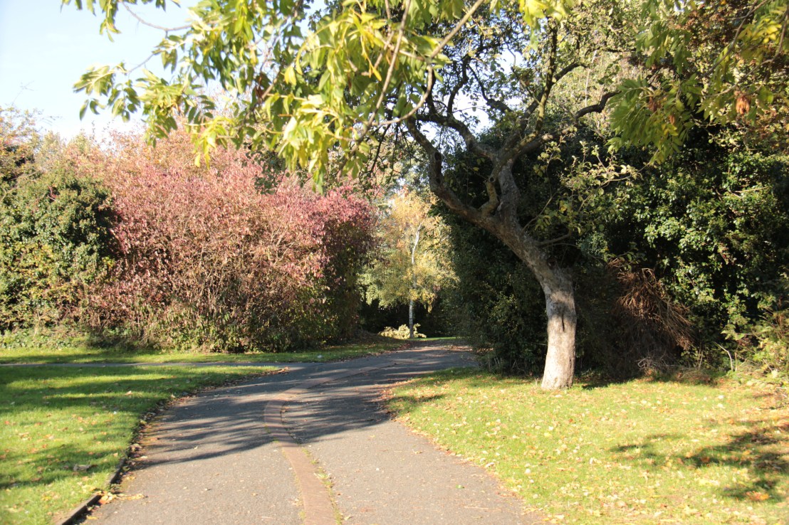 635AB568-D0CF-4AEA-A8D1-60BC2AE6D3C9