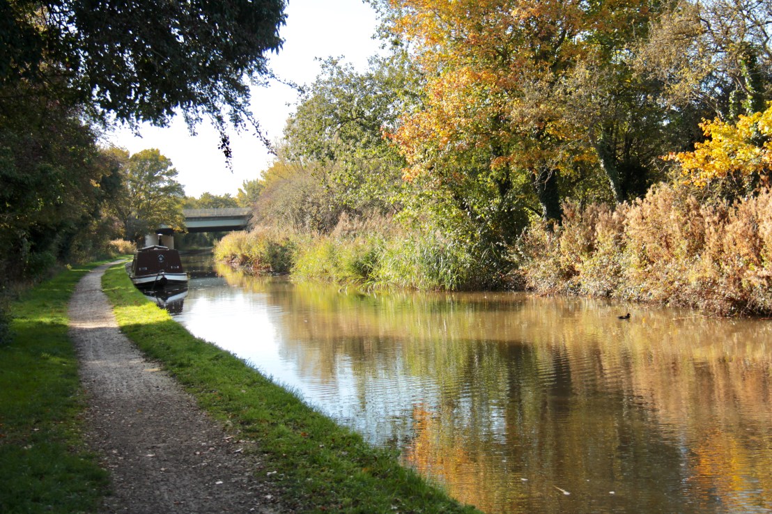 7AA6A86C-514E-49AF-ACCE-9ADE09B6BA47