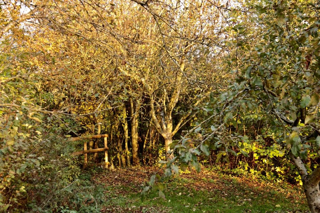 7CEB683D-AA35-48DD-9CAB-D1F8278AF547