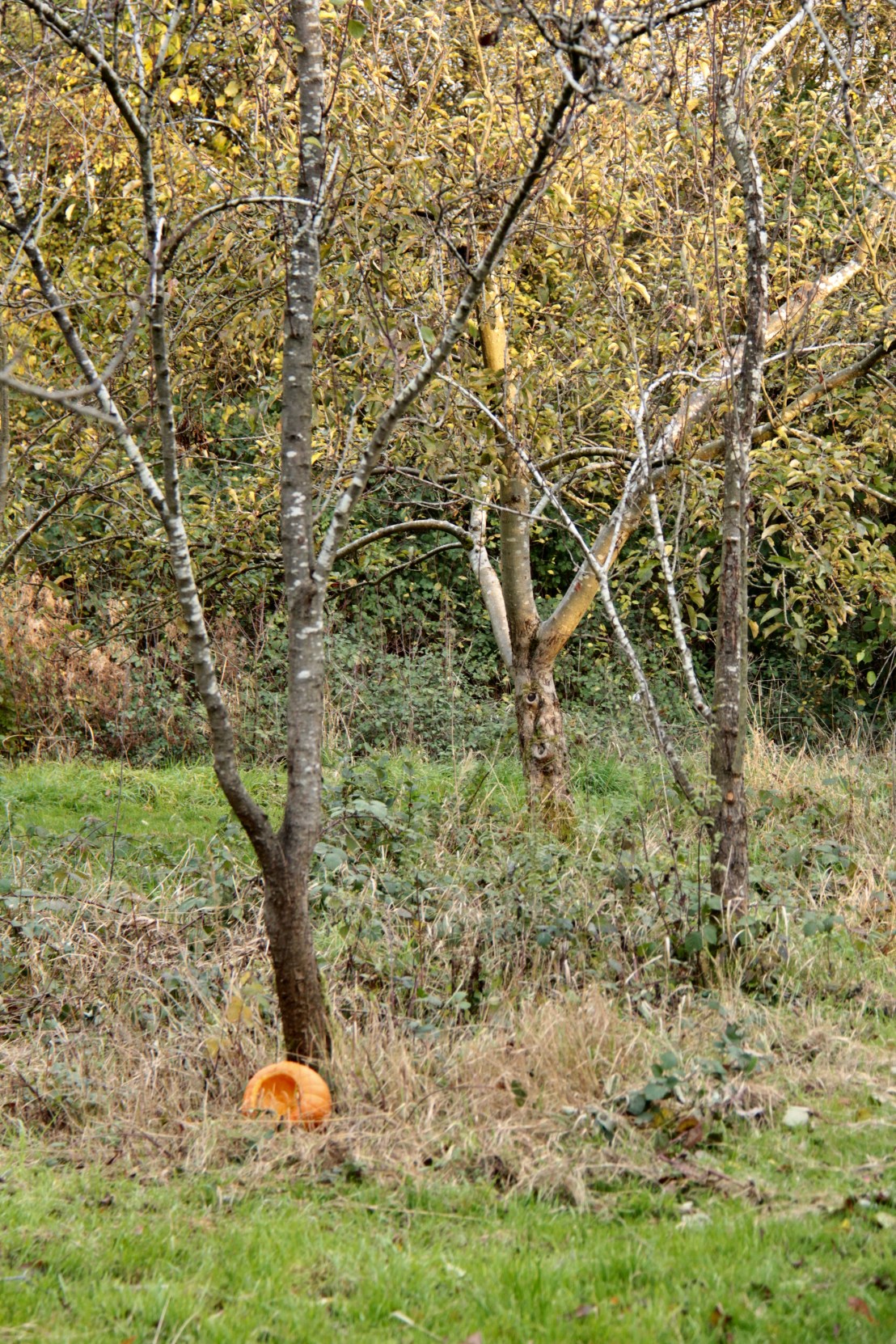 9DB993CF-0254-4943-A31D-FBF68508BB13