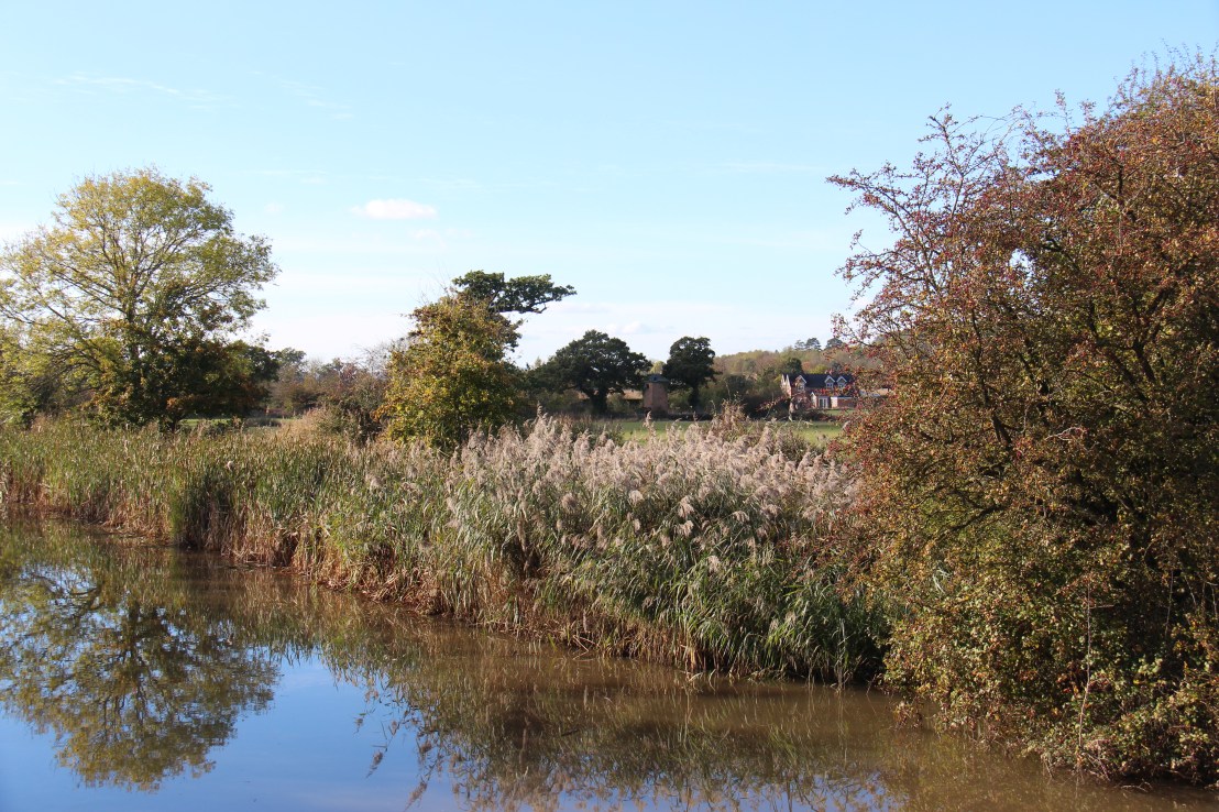 ADE98D76-DC98-42C0-A3F7-09FBF931BC67