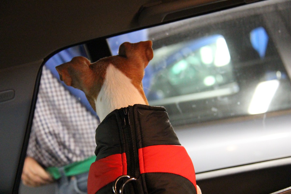 B4B33836-9CD3-490C-894A-C648195B080C