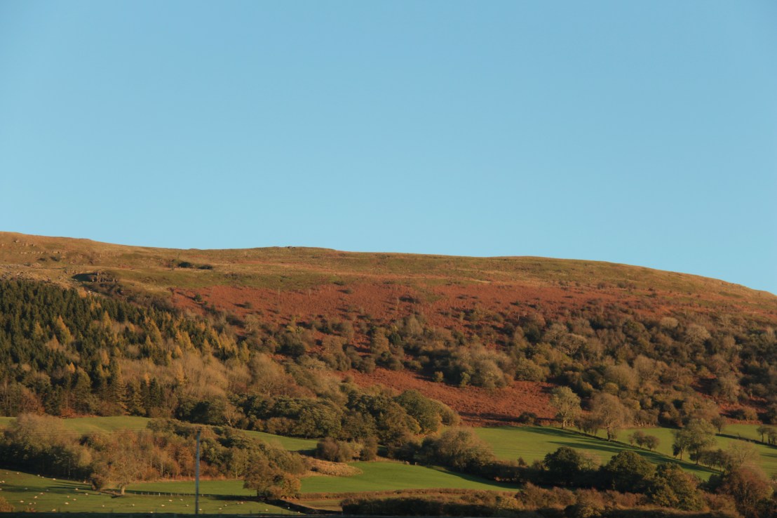 D3EA2D01-21E7-4284-97D4-A8A7968237E5