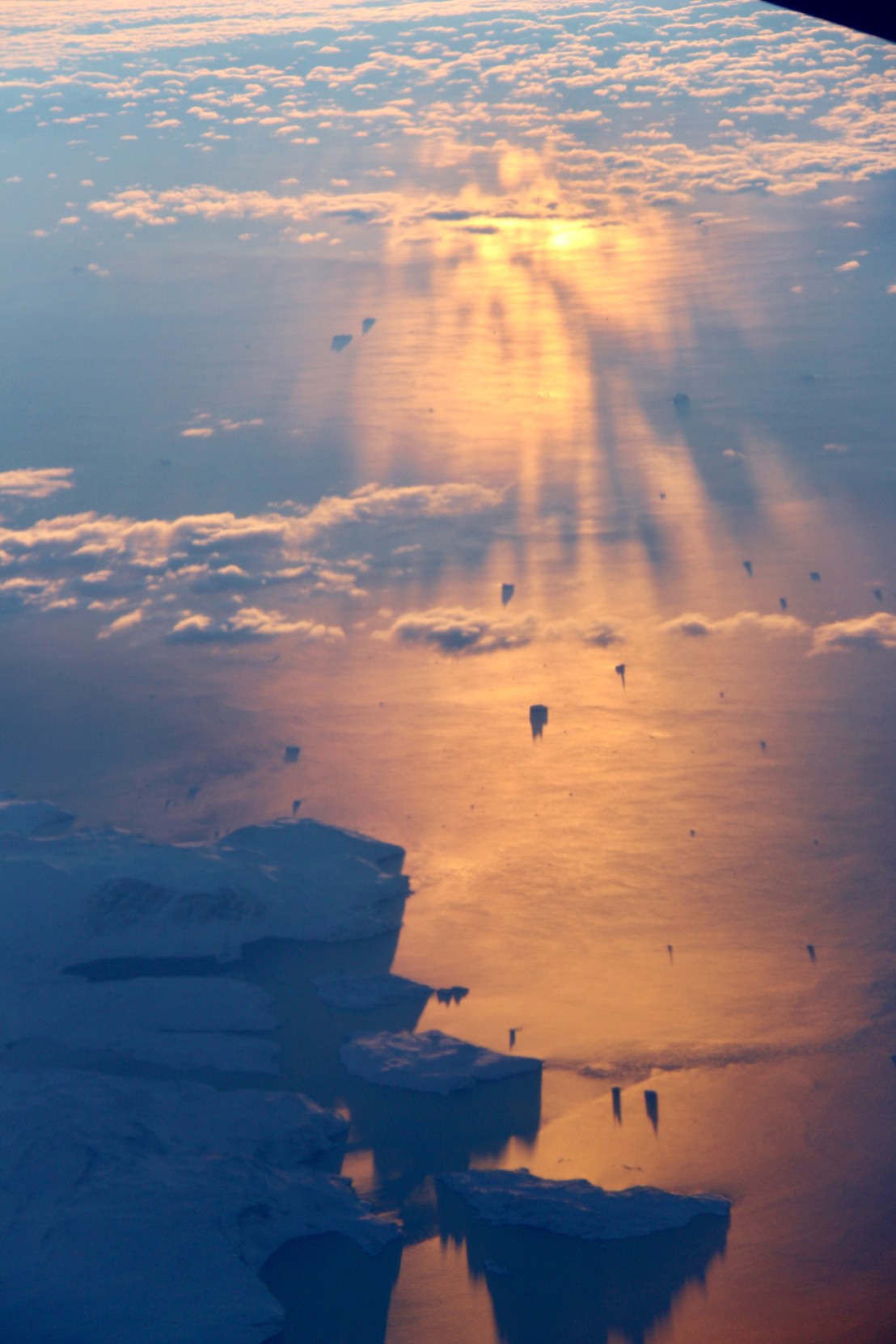 D5AE337F-55D3-4BA9-B28B-2EC26621F4A2