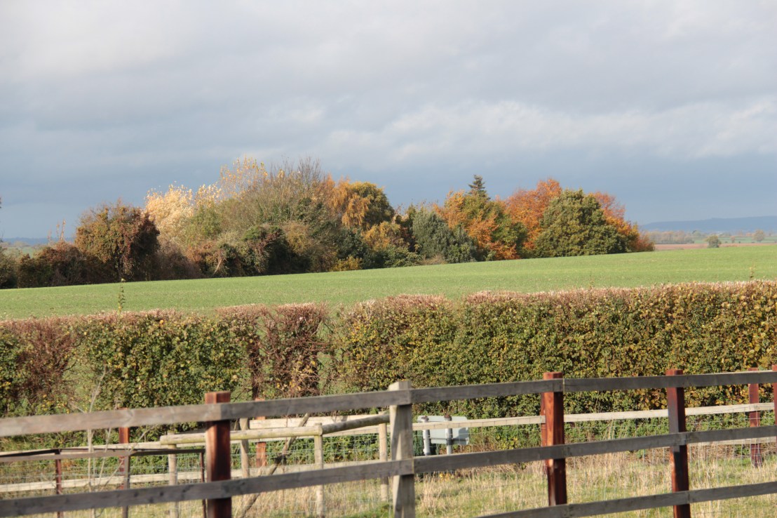 FF827F36-0E41-4A61-BE1F-D38C76BB8B08