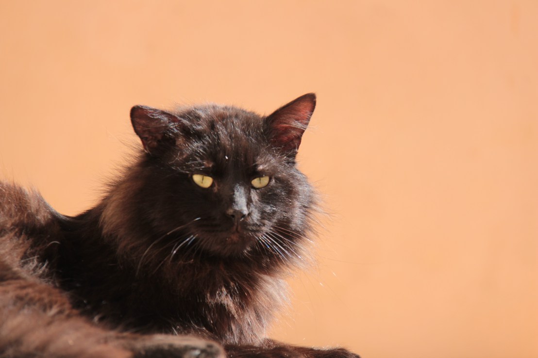 075F04DA-C7F3-4164-A628-7F955D5C5131