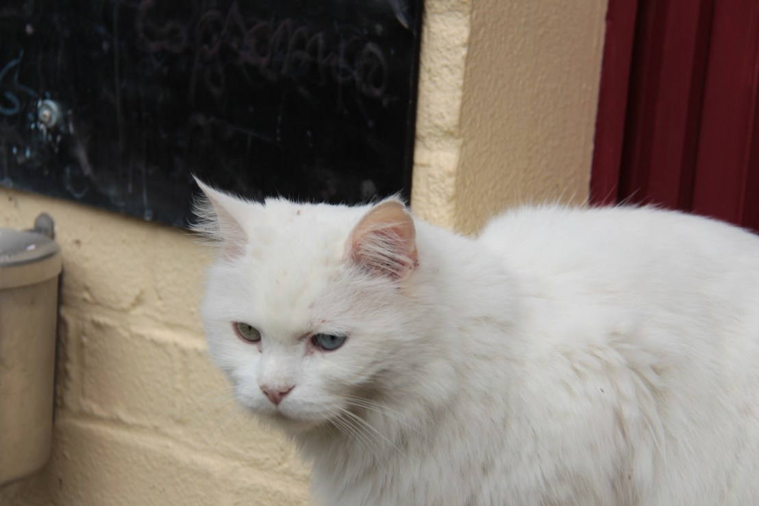 22F328B6-81CC-40DD-AD37-7E1F50BDBB55