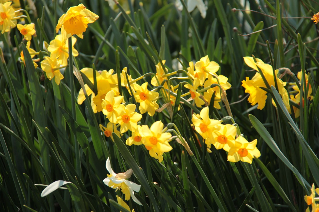 2D3F936F-827F-41F9-82A7-2BCC12916726