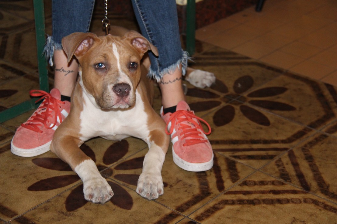 3592B368-4AF1-4F3C-A82A-E2E61B5CF467