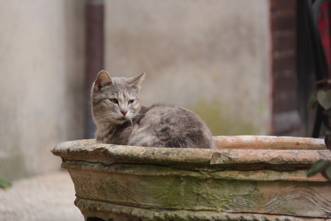 4676483B-7830-439C-9FDA-182197C443E8