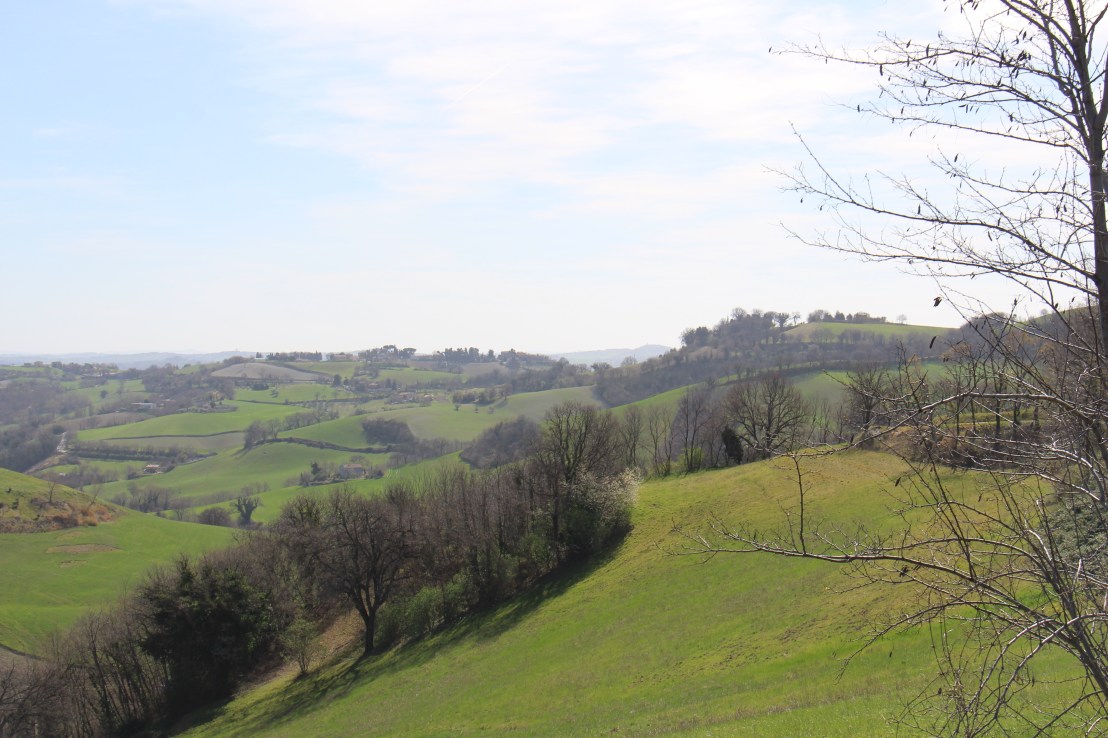 54488B6C-4680-4561-825C-13B5E4D73CEC