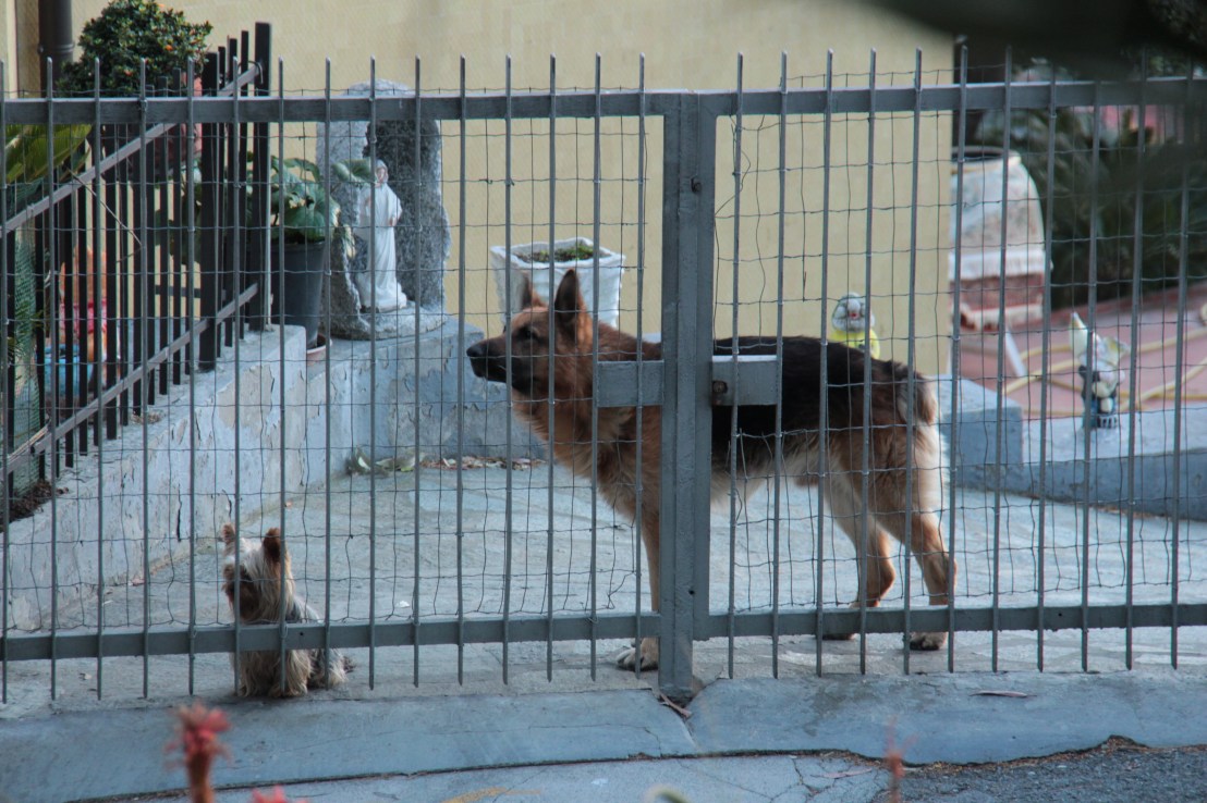 59A01DB1-B3EB-414F-80A0-B431B011562F