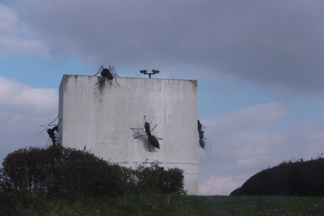 5B5339CF-EBEE-44F2-AC60-712916472FCB