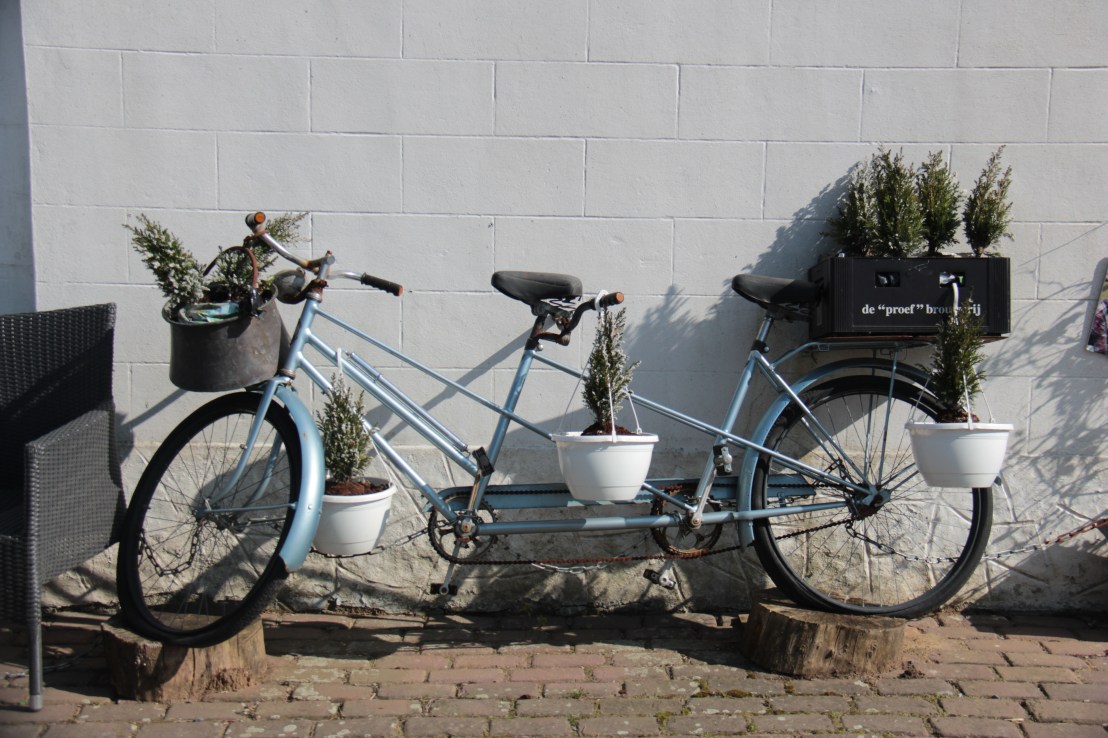 A06579AF-8192-4841-B230-6B245C3EE2DE