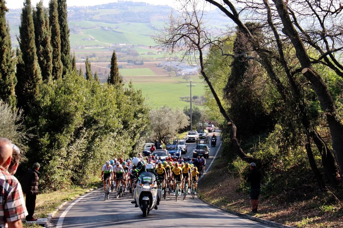 A5780184-B0A3-42AE-8EEB-76BBEFB5386C