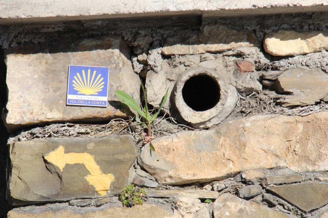 C31262D0-EAB1-45CF-86A5-CA061147B03C