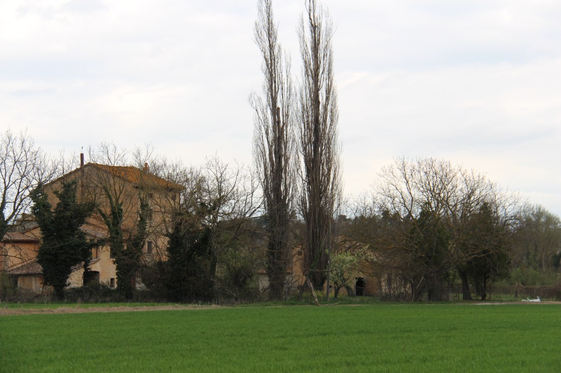 CC83A12C-7380-4F24-9EC4-ADD1B2E48534