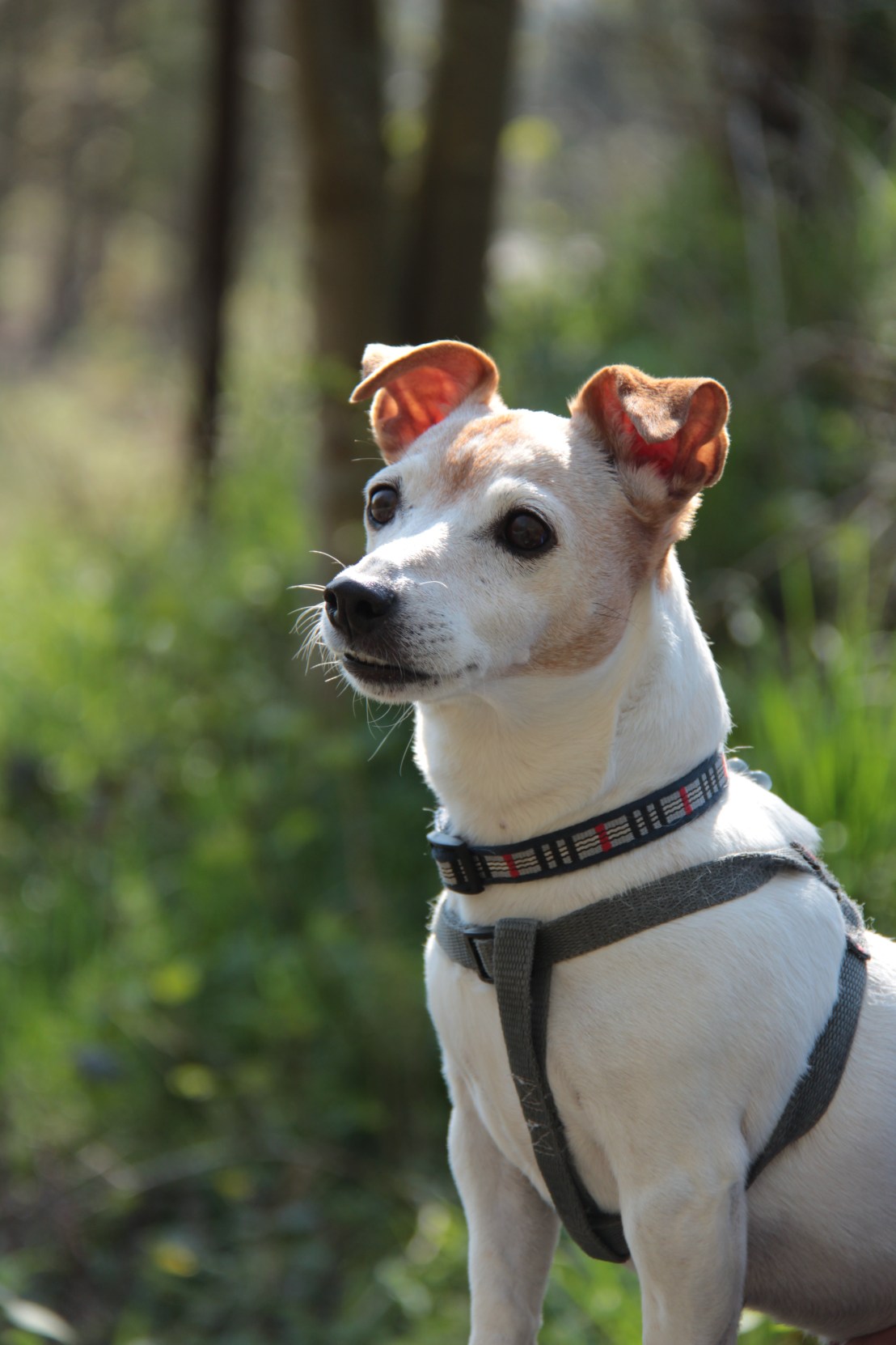 D114C42B-9742-4FD7-9A9C-40CE692ECD38