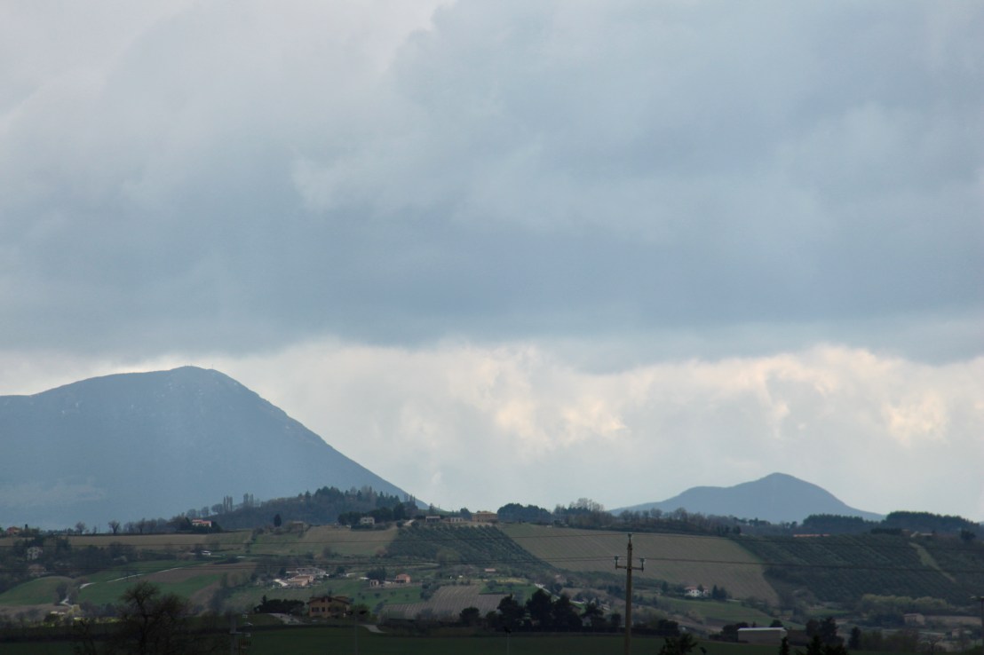 D9444047-D73F-41A1-ADB4-60618114B807